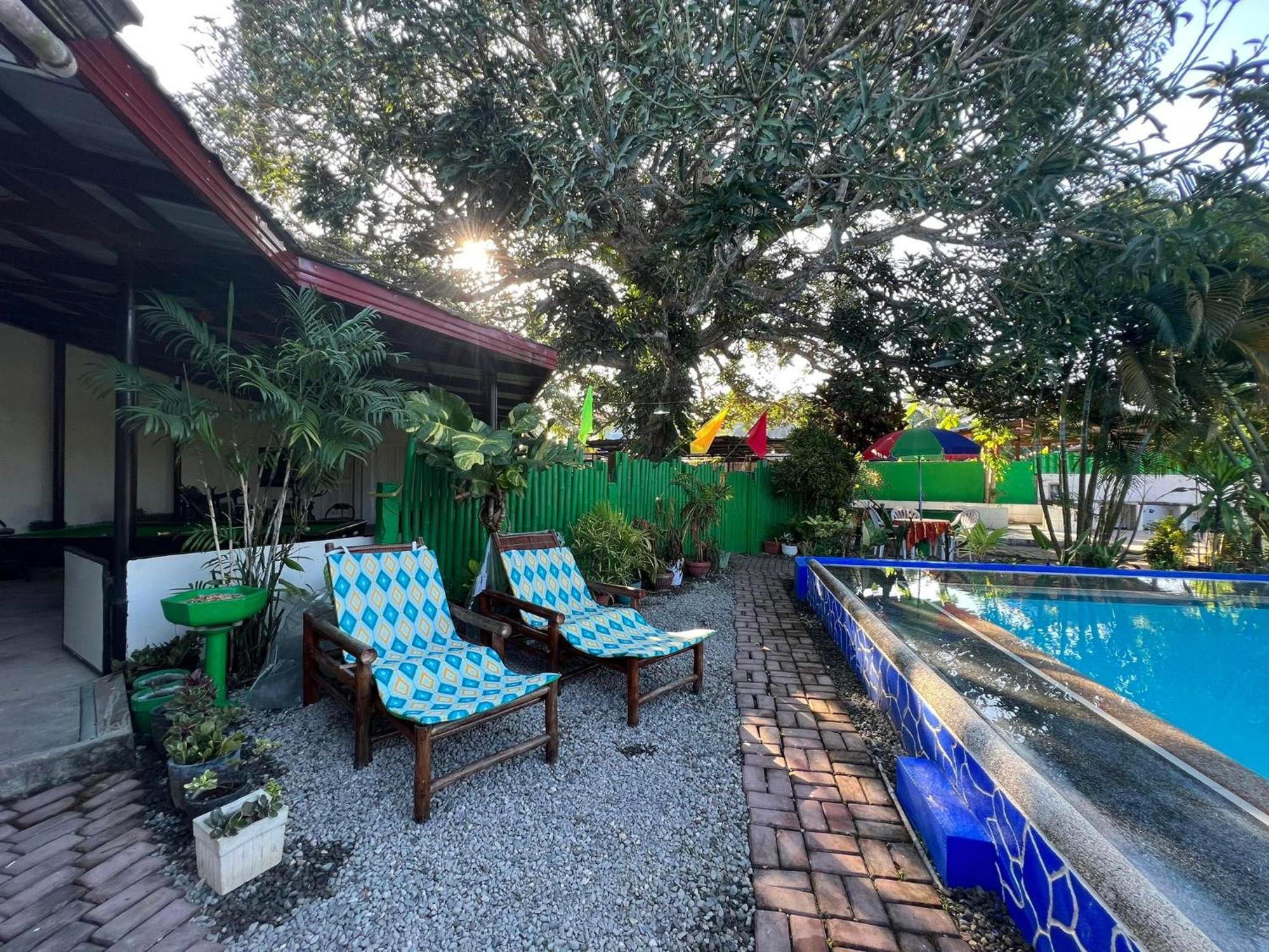 Dauis Ice Bear Bar & Tourist Inn מראה חיצוני תמונה