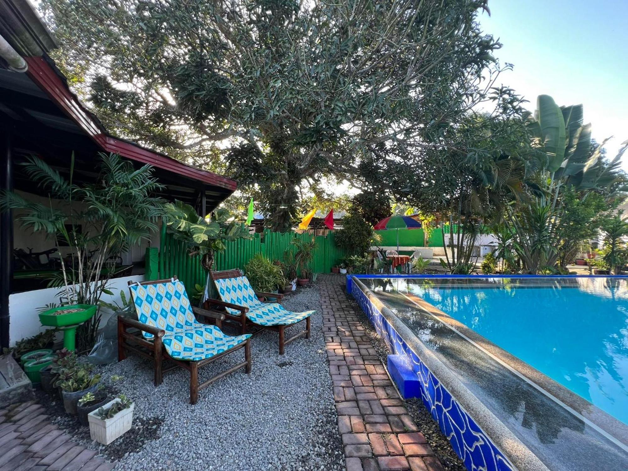 Dauis Ice Bear Bar & Tourist Inn מראה חיצוני תמונה