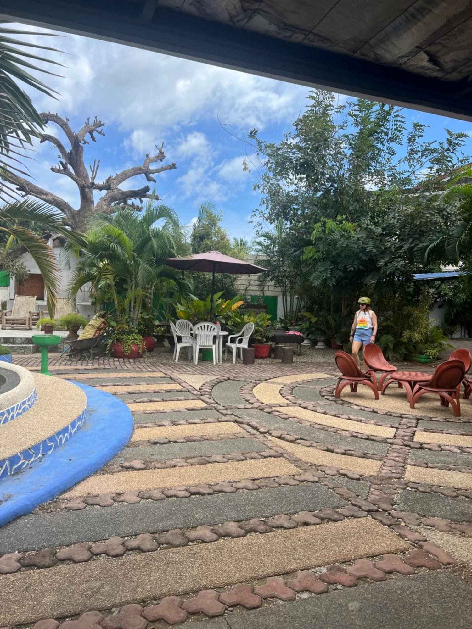 Dauis Ice Bear Bar & Tourist Inn מראה חיצוני תמונה